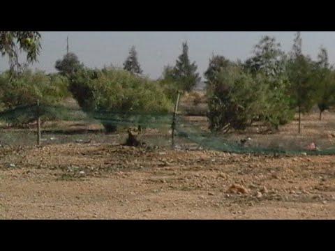 خلف الصبر اشياء جميلة تنتظر