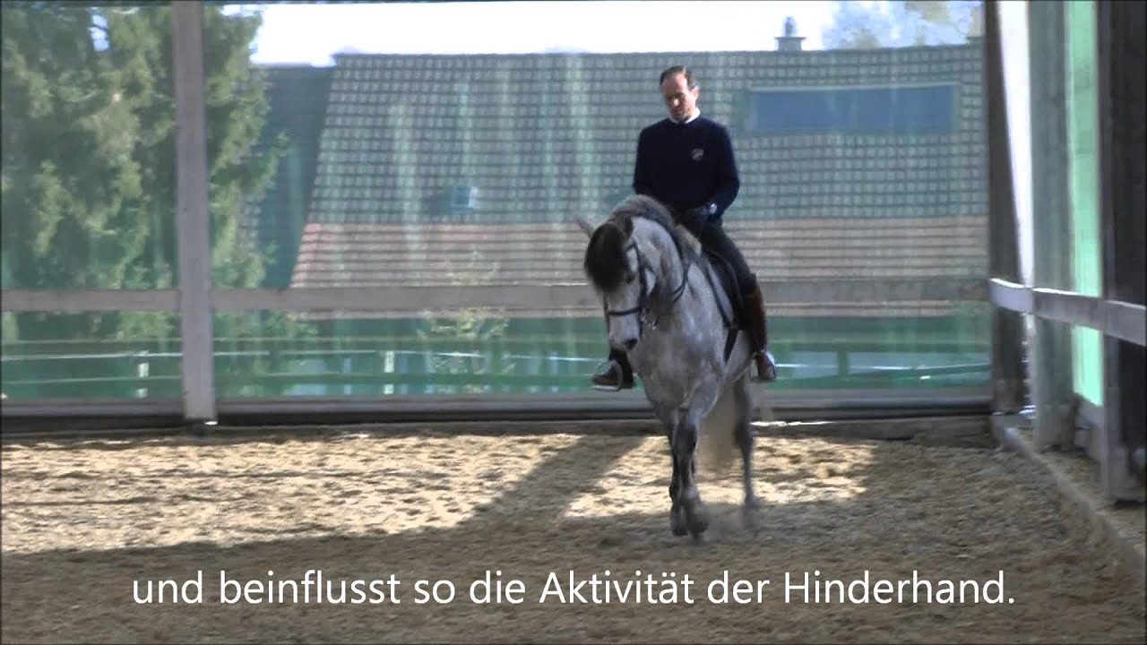 Bewegliche Brünette Zeigt, Wie Sehr Sie Sich Beim Reiten Verbiegen Kann Bewegliche Brünette Zeigt, Wie Sehr Sie Sich Beim Reiten Verbiegen Kann
