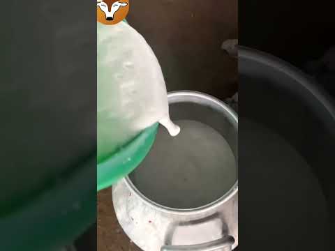 March 17, 2024 - YouTube