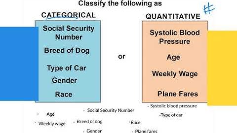 AQR Video 8.1 Types of Statistical Data