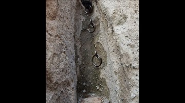 3-8-24 Rings Trail in Mojave National Preserve (with Aussie Doodles :)