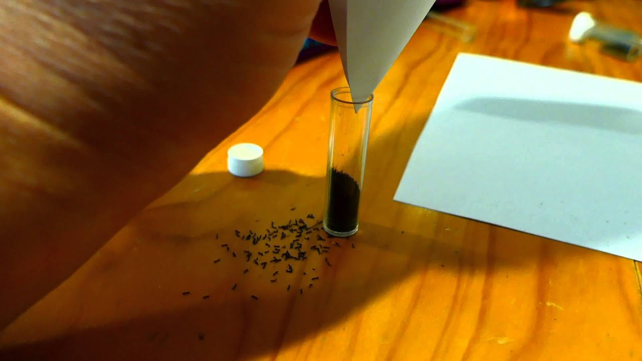 [H8] PLANCHONII Preamble-To KAMIL's [2015] 'Christmas'-Seed-TARDIS [H8]