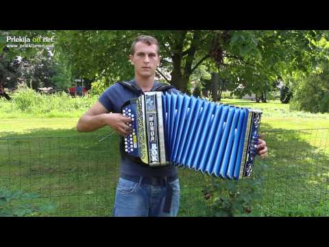 Rok Vrzel - Ti, moja rožica