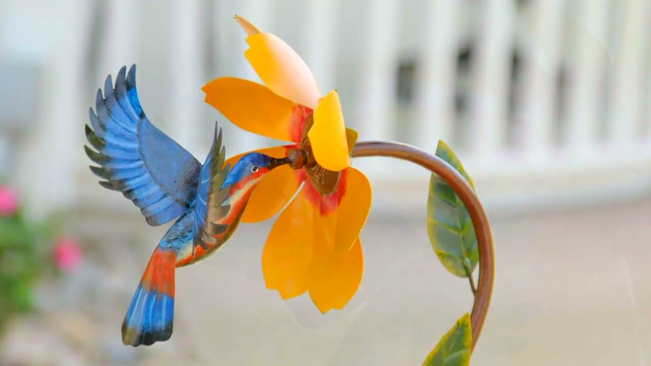 Hummingbird Spinner (PHC035) YouTube