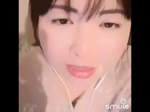 桜の時　ショートver　aiko　meg　が　歌ってみた