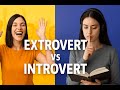 Are You an Extrovert or Introvert? Find Out Fast!