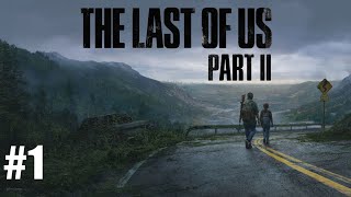 THE LAST OF US II REMASTERED #1