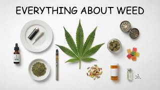 ALL OF CANNABIS SCIENCE in 14 Minutes (No BS)