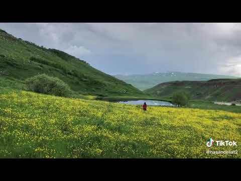 CELLAT'IN BABASI HASAN AMCA PAPATYAYLA VİDEO PAYLAŞTI! GELİNİ SONUÇTA 😉 🌼🌊