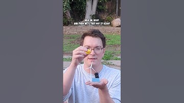 Coal is No Longer King ❌👑 (See what took it