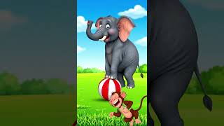 funny dog voice #trading #funny #comedy #tradingekmotahathighumechala