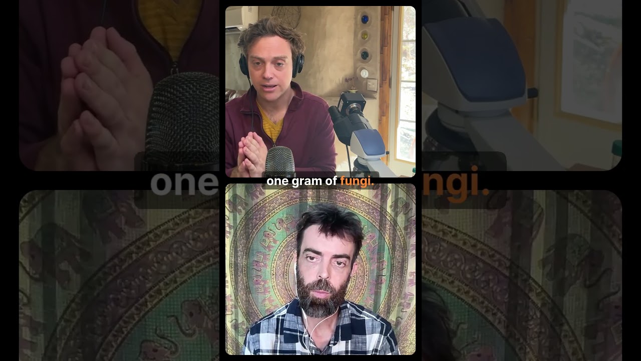 Correlation to Plant Growth is the Fungal 🍄  to Bacterial 🦠 Ratio ⚖️