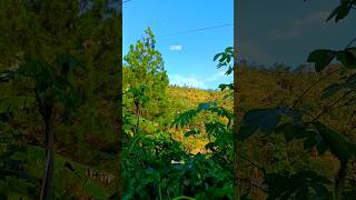 JJ Sinematik DJ Sweet Love #sinematic #sweetlove #shorts