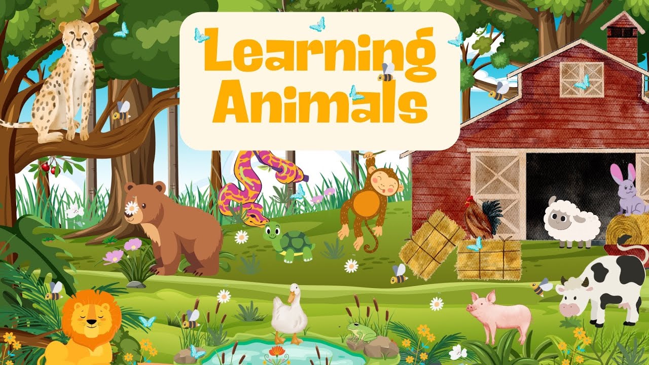 ANIMALS FOR TODDLERS / Learn Different Kinds Of Animals! Learning For ...