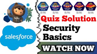 Security Basics | Salesforce Trailhead | Quiz Solution