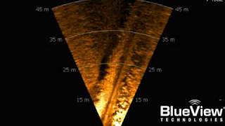 BlueView P450 Pipe Survey.avi