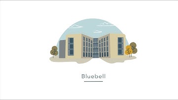 University of Warwick Accommodation - Bluebell