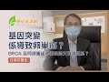 基因突變係導致卵巢癌？BRCA 及同源重組修復缺陷又有咩關系？ | #丘德芬醫生