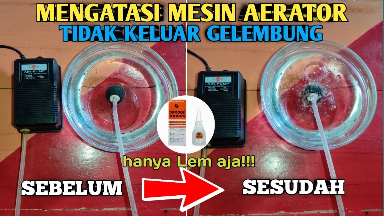 Cara Mudah Perbaiki Aerator Yang Tidak Keluar Gelembung