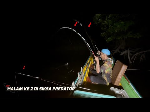 DI Tortures Predator Until One Fishing Rod Floats into the Water. #fishing