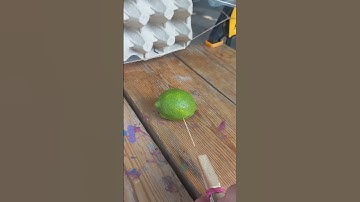 toothpick shooter test