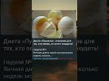 13 августа 2023 г.