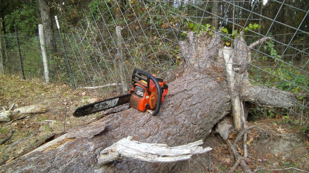 Final Tree Clean Up From Last Winter - YouTube