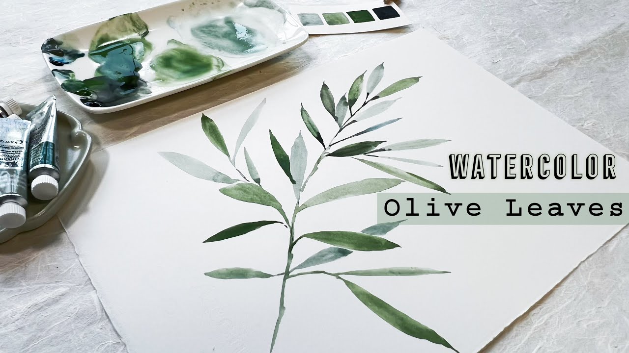 Easy Watercolor Olive Branch and Leaves for Beginners