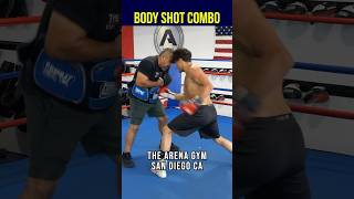 How To Throw The Perfect Body Shot Combo