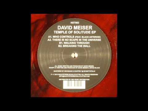 David Meiser — David Meiser - Walking Through