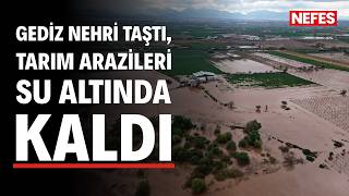 Gediz Nehri taştı, Manisa'da tarım arazileri su altında kaldı