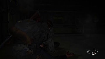 The Last of Us Part 2 Ellie and Dina