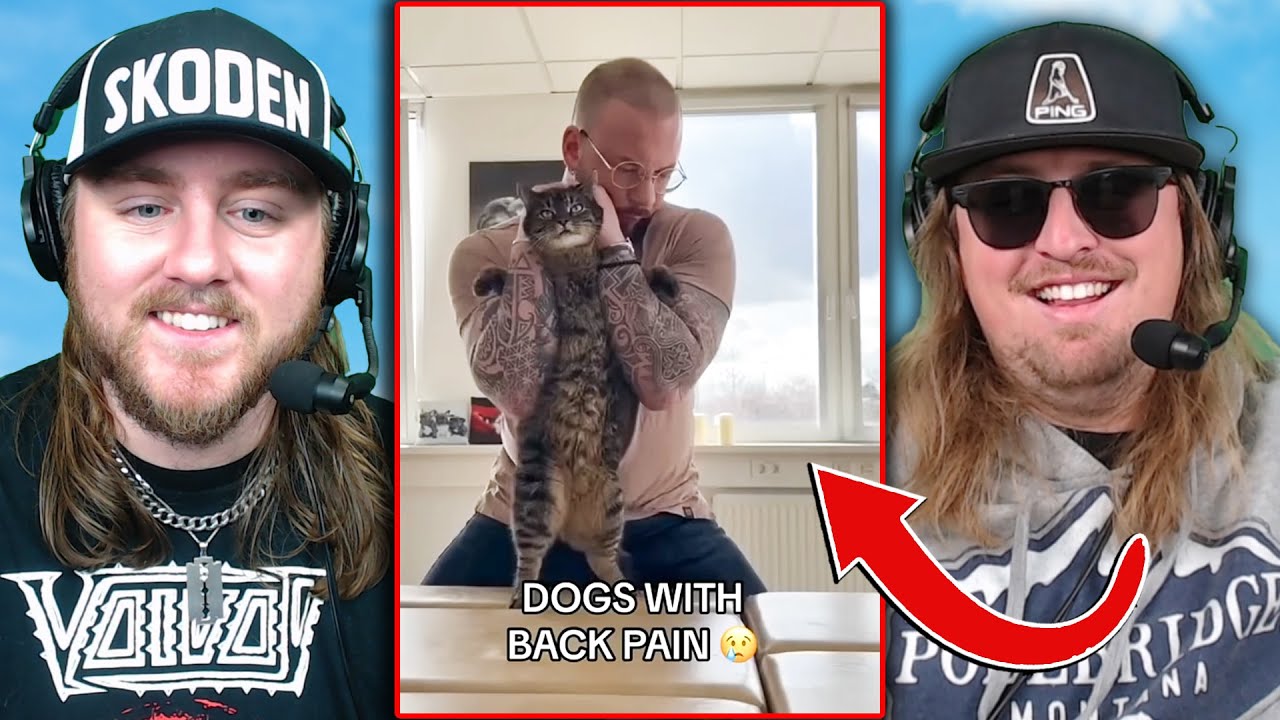 TIK TOKS THAT ARE INSANE…