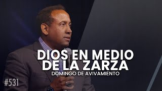 Dios en medio de la zarza  Pastor Juan Carlos Harrigan