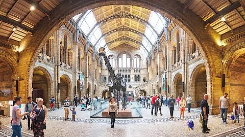 The Role of Museums in Today’s Societies - DayDayNews