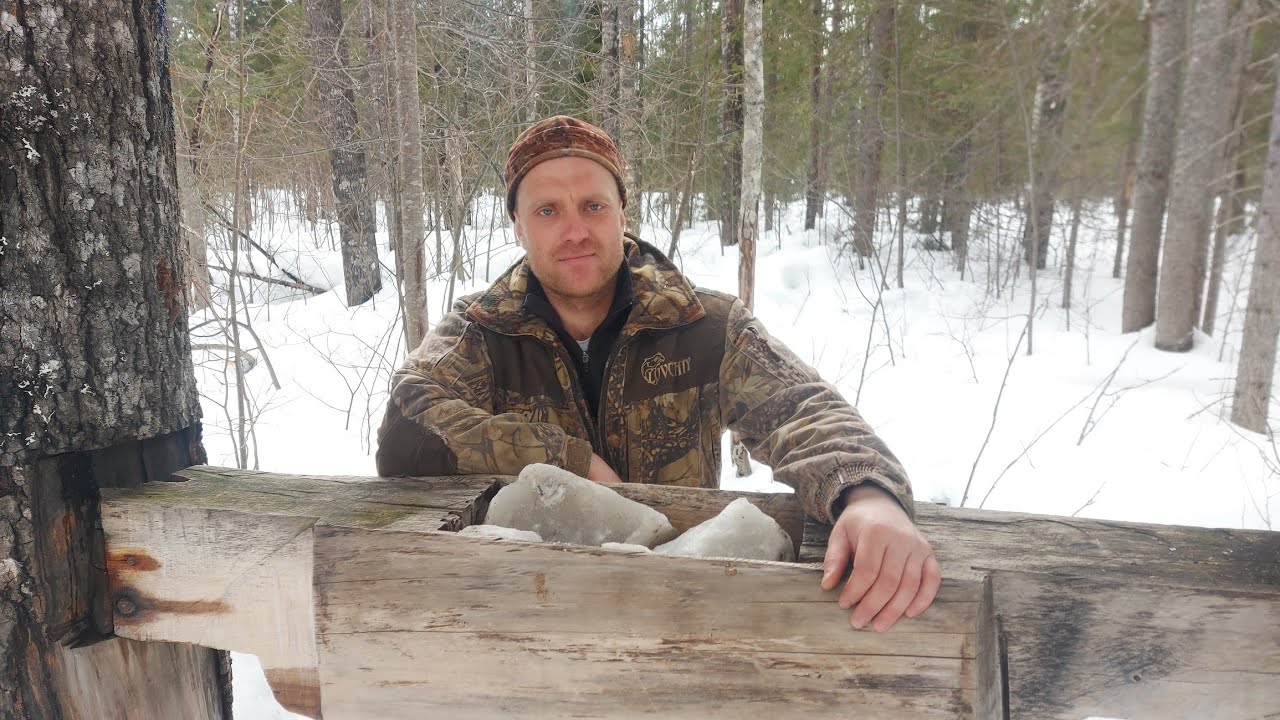 СОЛОНЦЫ/СОЛЬ для ЛОСЕЙ/Поездка в лес на снегоходе Ямаха Викинг! - YouTube