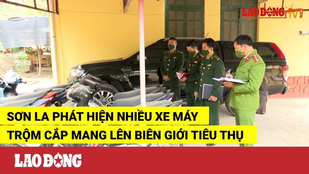 Sơn La phát hiện nhiều xe máy trộm cắp mang lên biên... - youtube