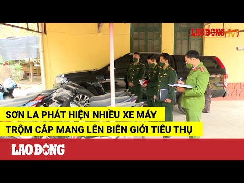 Video Sơn La phát hiện nhiều xe máy trộm cắp mang lên biên... - youtube