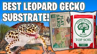 BEST LEOPARD GECKO SUBSTRATE!
