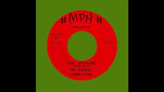 The Bronze Connection-Love Uprising