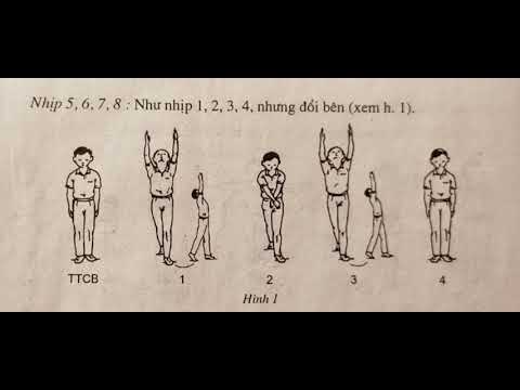 Video Bài thể dục phát triển chung lớp 5, động tác vươn thở,... - YouTube