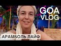 Гоабудни Арамболья 🇮🇳 Нашествие обезьян 🐒 Встреча с подписчиком 🙌Творческие порывы
