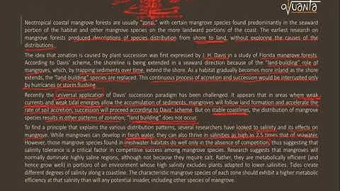 CAT Strategy and tricks to solve Reading Comprehension 3