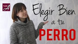 Serie Gua Para Tener Tu Perro  1 La Eleccin
