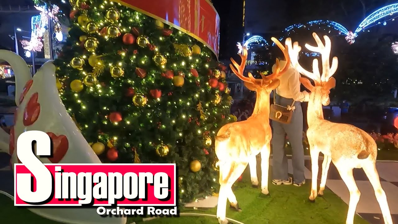 Orchard Road Christmas Lightup 2021 ShineWalkingToursSG YouTube