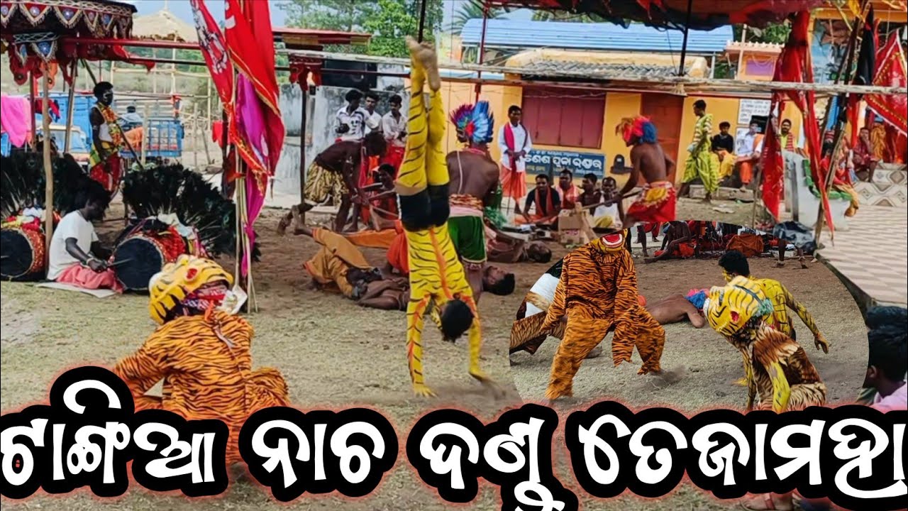 ଟାଙ୍ଗିଆ ବାଘ ନାଚ  ତେଜାମହ ଦଣ୍ଡ କନ୍ଧମାଳ//Kandhamal dandanacha