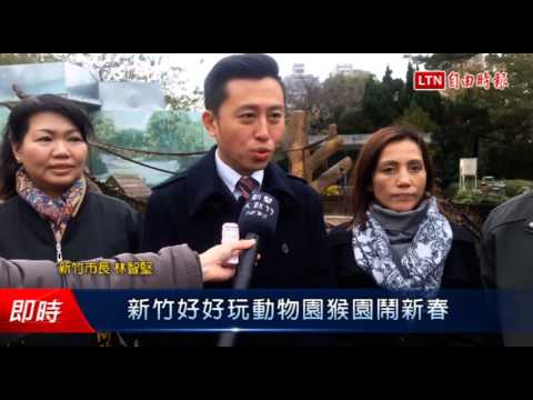 新竹好好玩動物園猴園鬧新春 - 新竹好好玩動物園猴園鬧新春