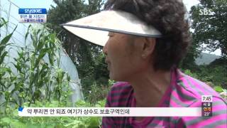 토요특집 모닝와이드 130727 다시보기 #1(1)