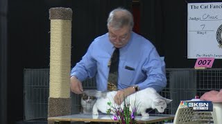 Wichita got a little furrier this weekend