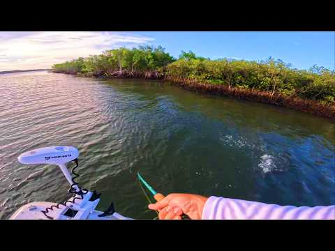INSANE Summer Snook Fishing! MASSIVE Snook DESTROY Artificial Lures (Perfect Florida Conditions)